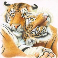 Схема вышивки «дикие»