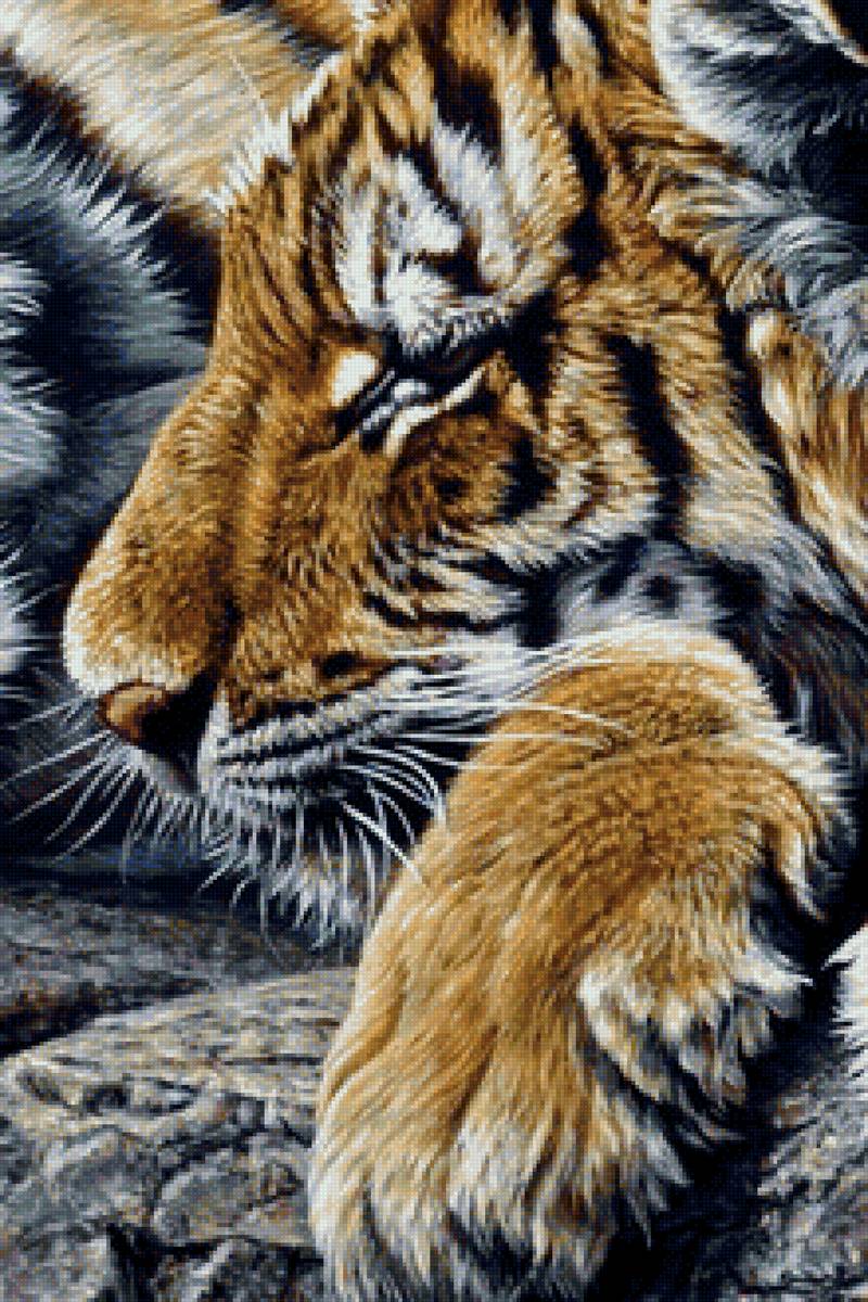 дикие - предпросмотр