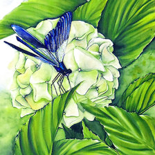 Схема вышивки «Серия "Гортензия". Панелька»