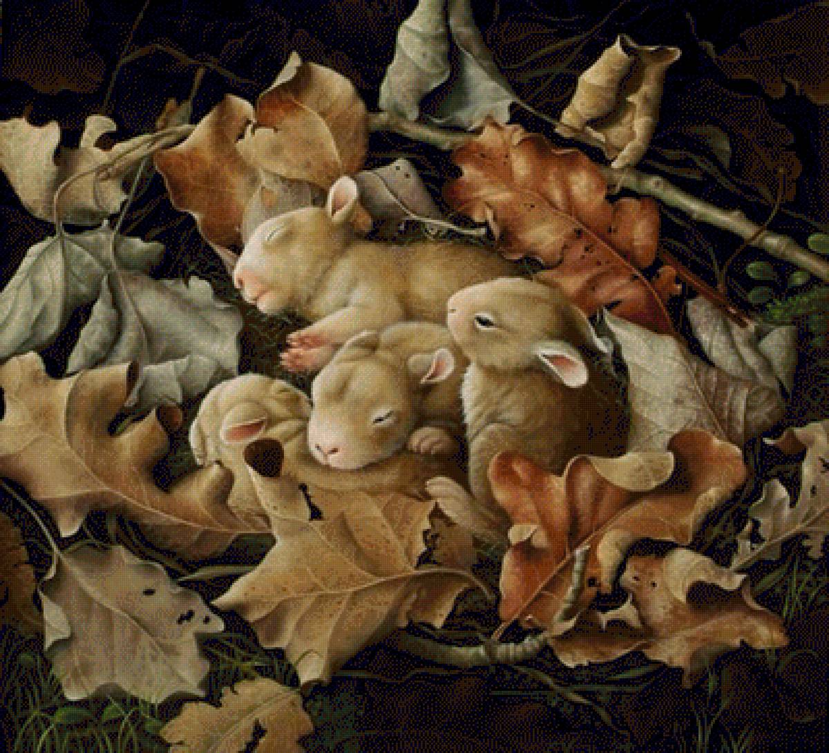 Зайчата - гнездо, зайчата, лес, животные - предпросмотр