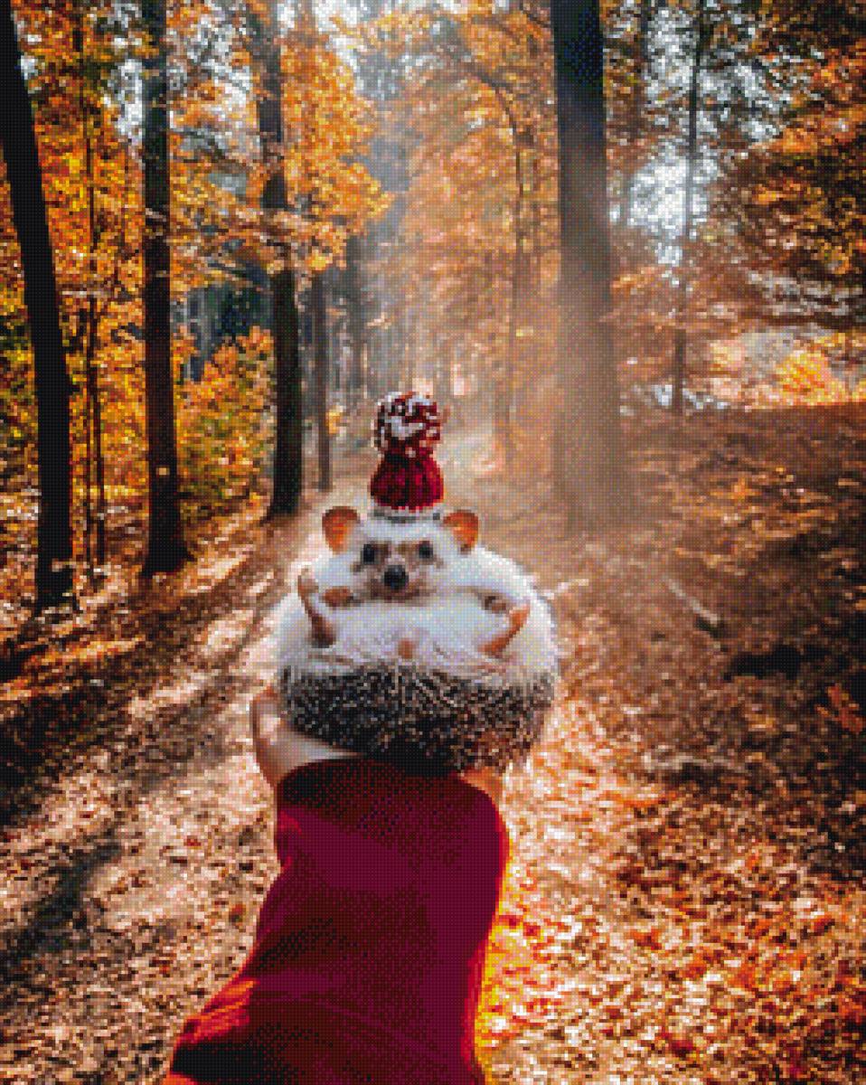 №2093799 - ежик лес осень листик трава цветы зелень - предпросмотр