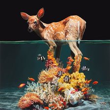 Схема вышивки «№2093806»