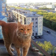 Схема вышивки «№2093809»