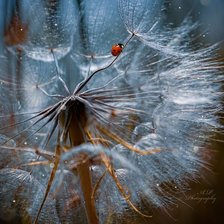 Схема вышивки «№2093812»