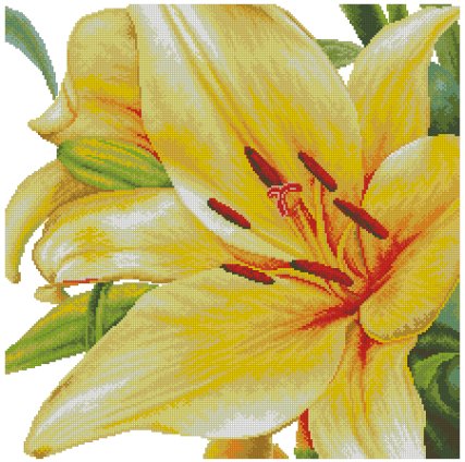 лилия на подушку - оригинал