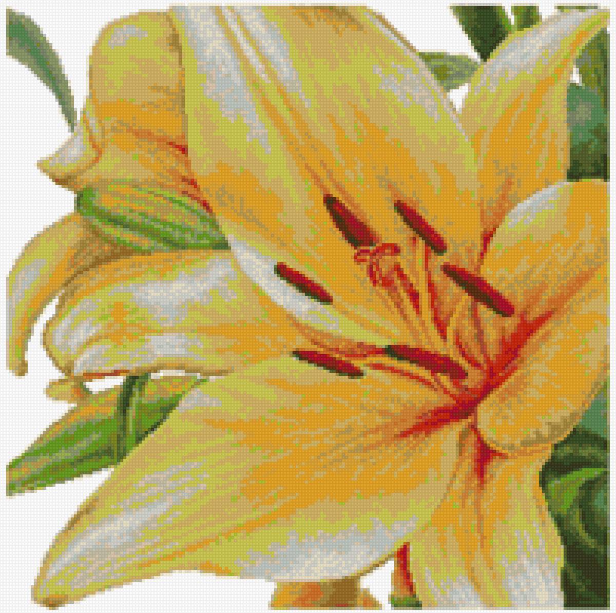 лилия на подушку - предпросмотр