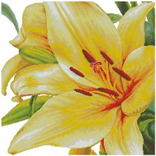 Схема вышивки «лилия на подушку»