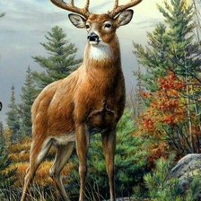 Схема вышивки «олени»