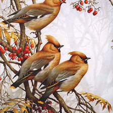 Схема вышивки «птицы»