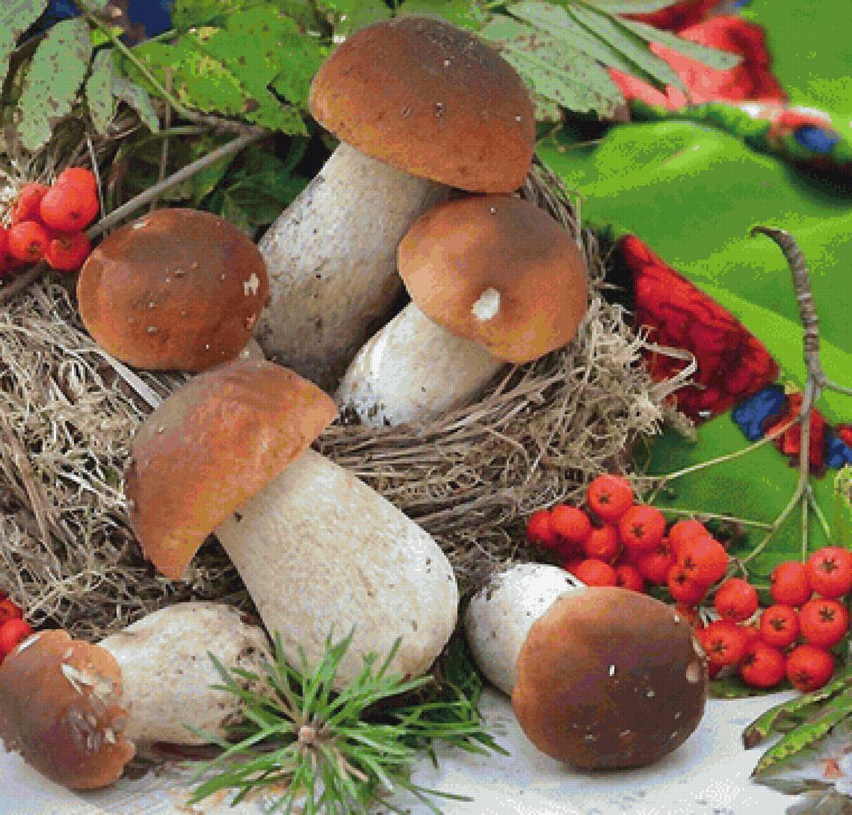 дары природы - предпросмотр