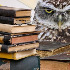 Схема вышивки «В библиотеке»