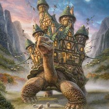 Схема вышивки «Черепаший дом»