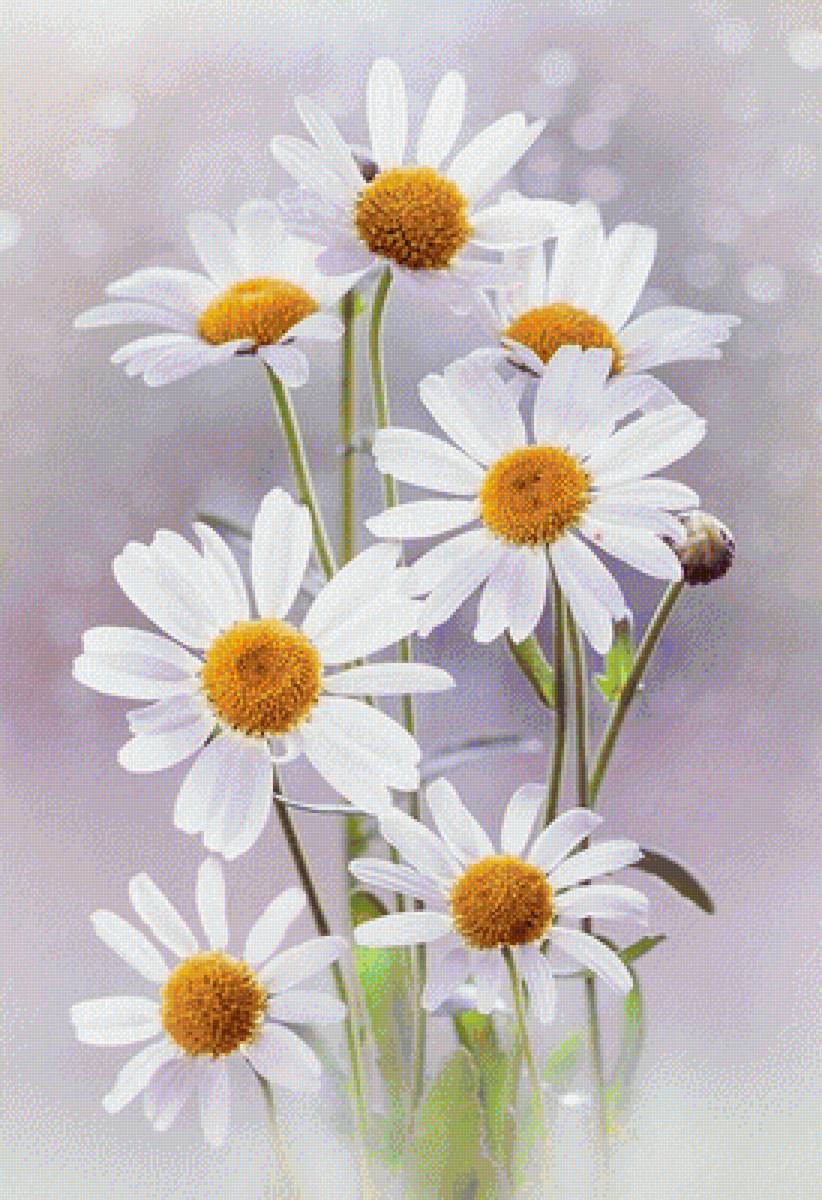 №2094870 - предпросмотр