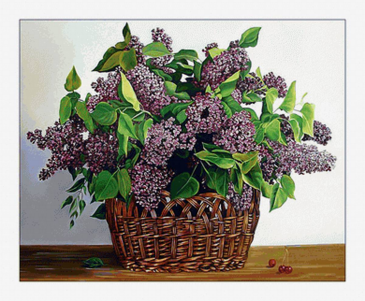 Корзина с сиренью. - сирень, цветы, букет, живопись, корзина - предпросмотр