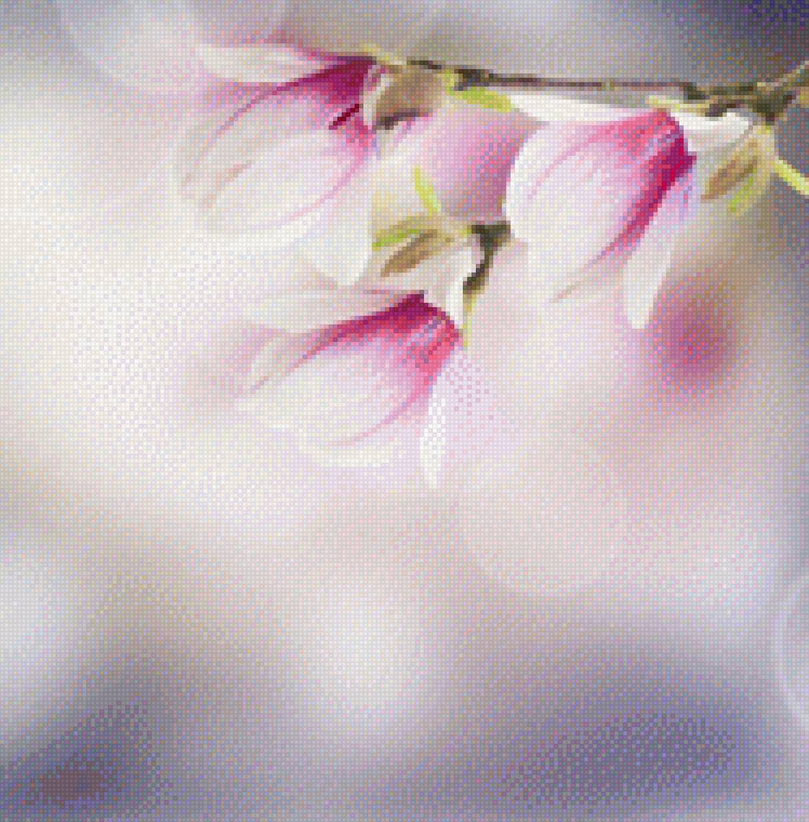 Магнолия - цветы, подушка, магнолия, ветка - предпросмотр