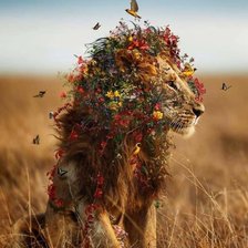 Схема вышивки «Лев»