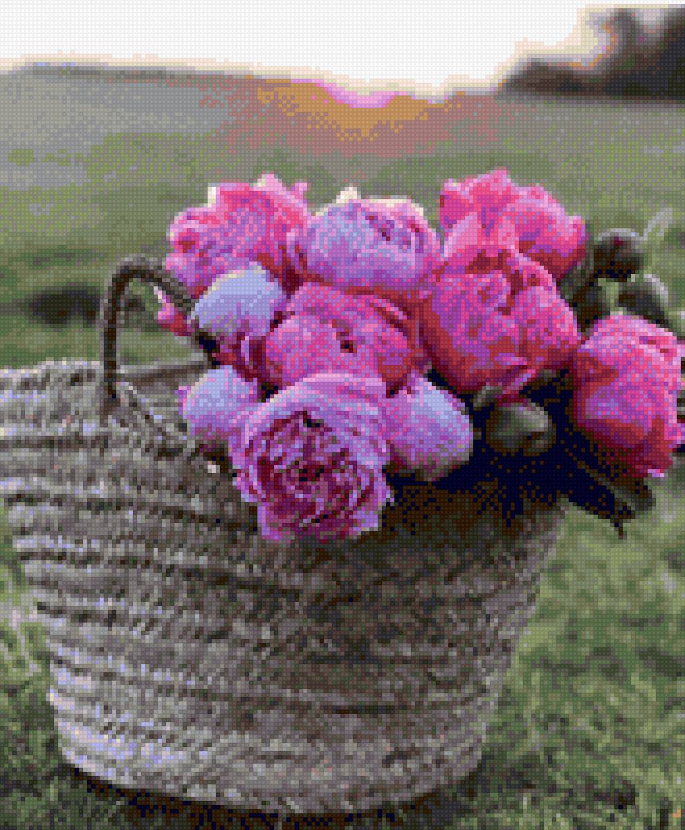 Квіти - предпросмотр