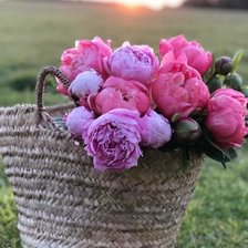 Схема вышивки «Квіти»