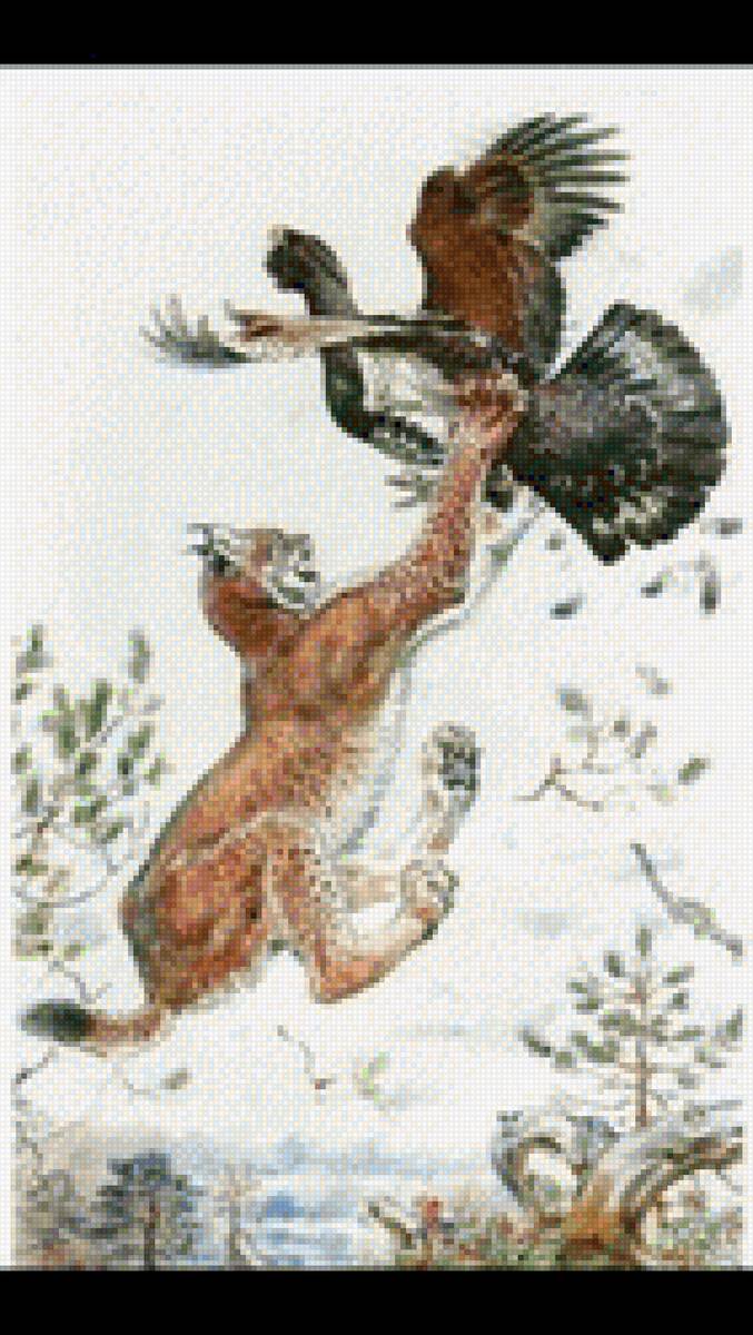 рысь - предпросмотр