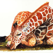 Схема вышивки «№2095393»