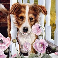 Схема вышивки «№2095472»