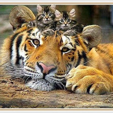 Схема вышивки «друзья»