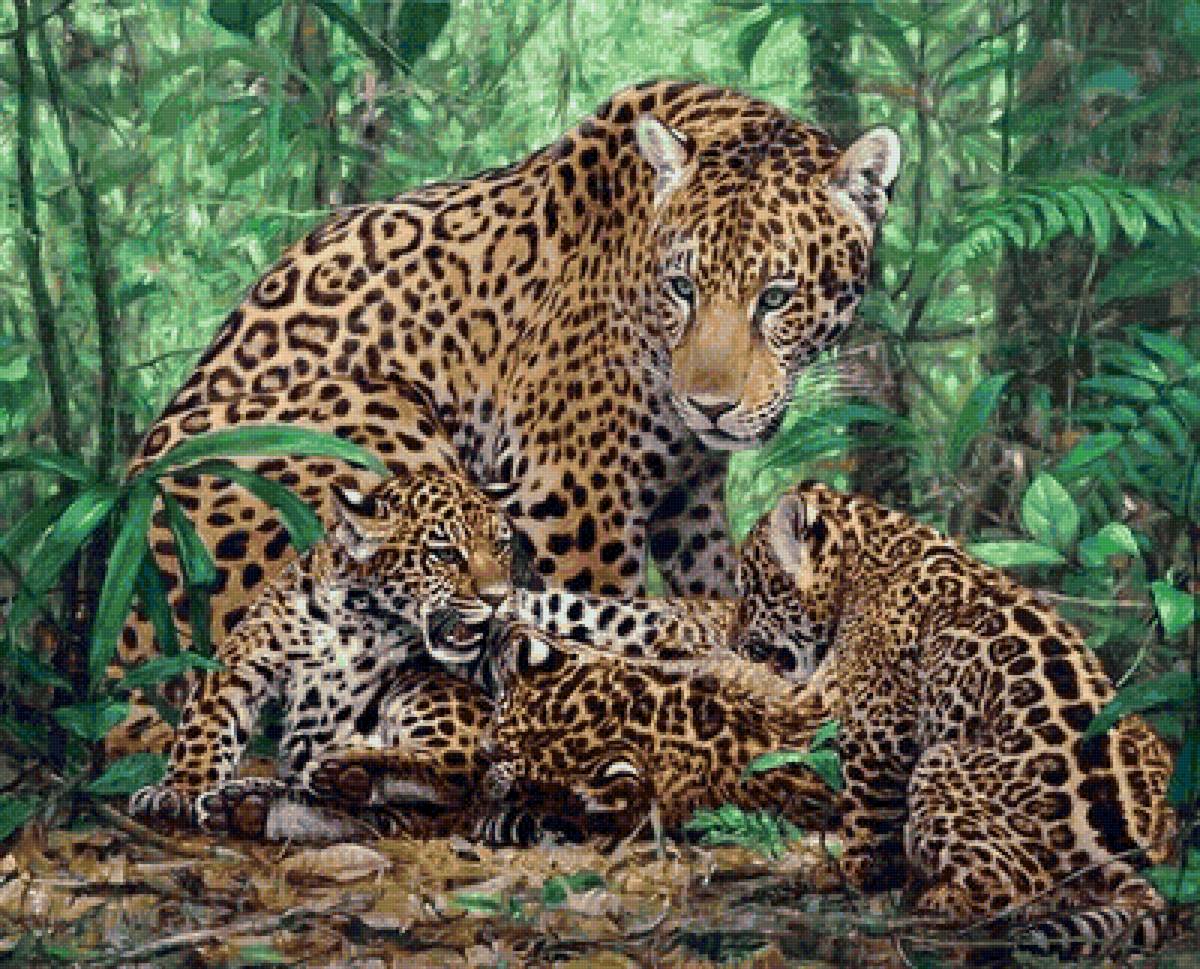 дикие - предпросмотр