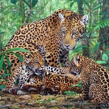 Схема вышивки «дикие»