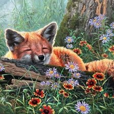 Схема вышивки «дикие»