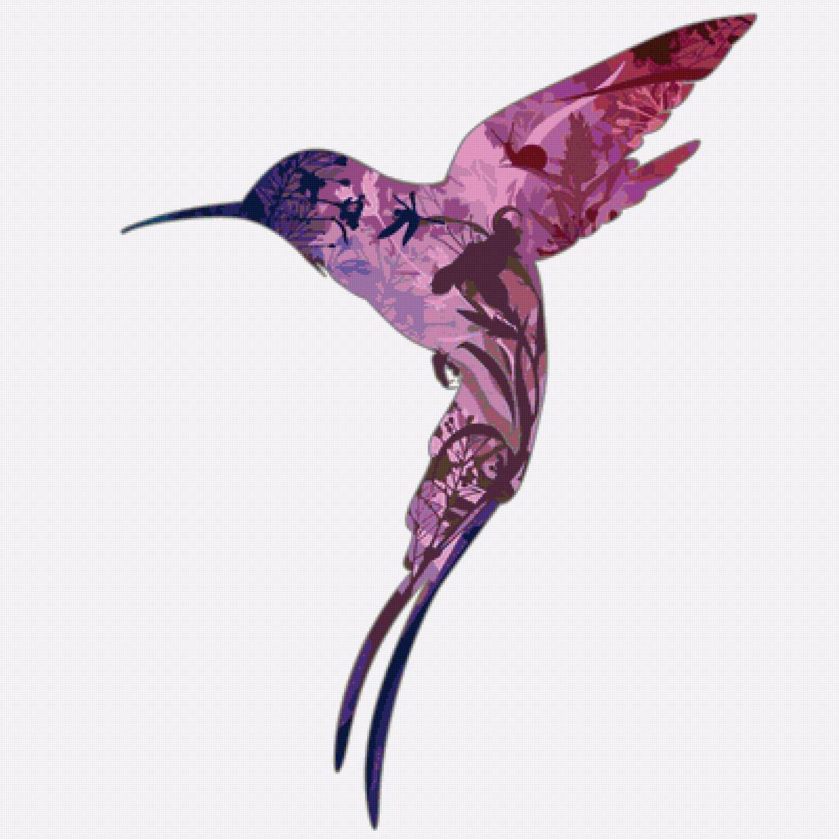 Колибри - колибри, птичка - предпросмотр