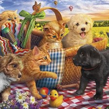 китята и кутята