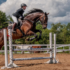 Схема вышивки «Через барьер»