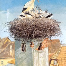 Схема вышивки «Птицы»