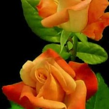 Схема вышивки «гердан»