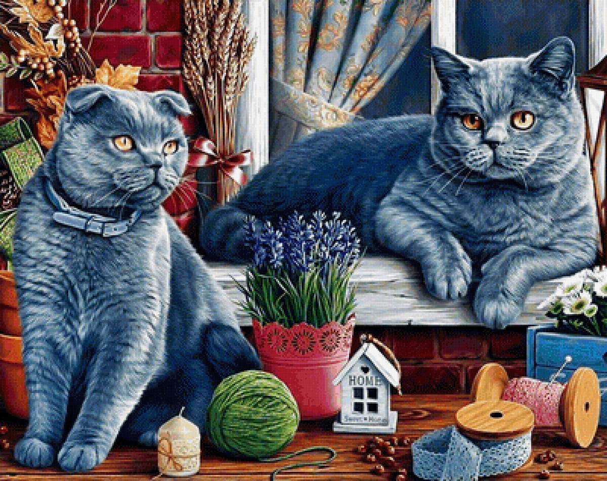 Серия "Коты". - коты, животные - предпросмотр