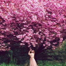 Схема вышивки «Сакура»