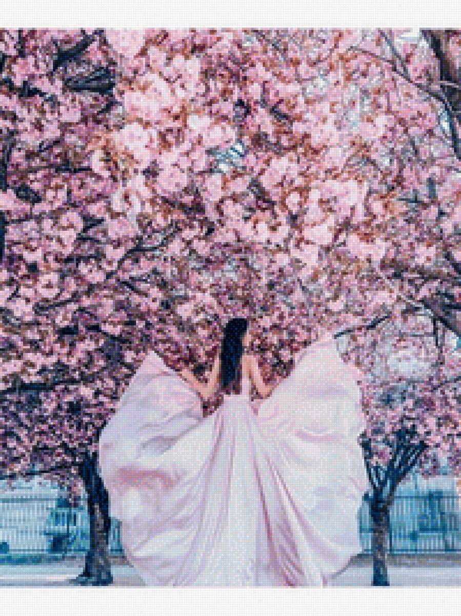 Сакура - сакура - предпросмотр