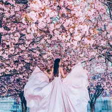 Схема вышивки «Сакура»