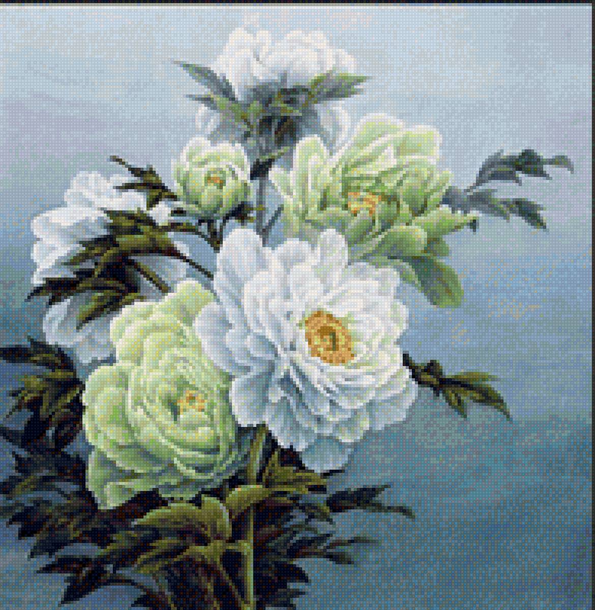 Пионы - пионы, винтаж, цветы, красота - предпросмотр