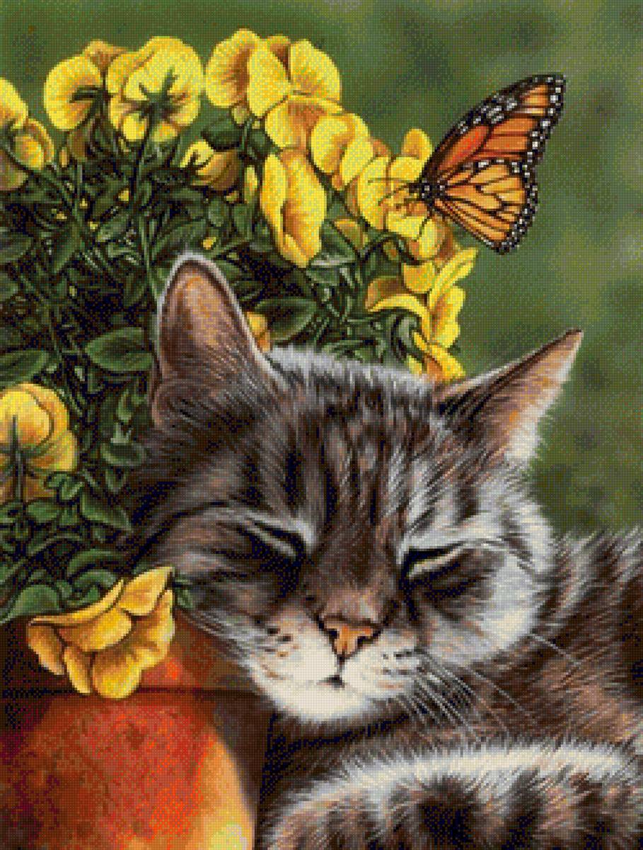 Котик - нежность, котик, отдых - предпросмотр