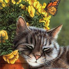 Схема вышивки «Котик»