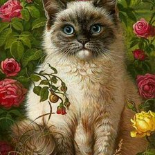 Схема вышивки «Котик в розах»