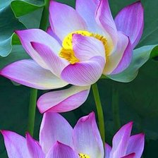 Схема вышивки «гердан»