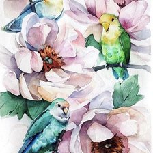 Схема вышивки «Попугаи»