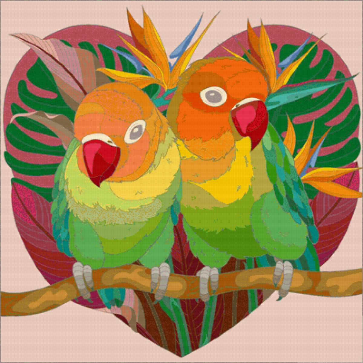 Неразлучники - неразлучники, попугаи, птицы - предпросмотр