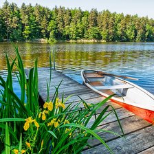 Схема вышивки «№2097119»