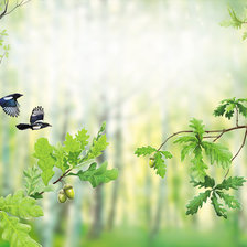 Схема вышивки «лес»