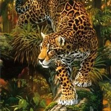 Схема вышивки «леопарды»