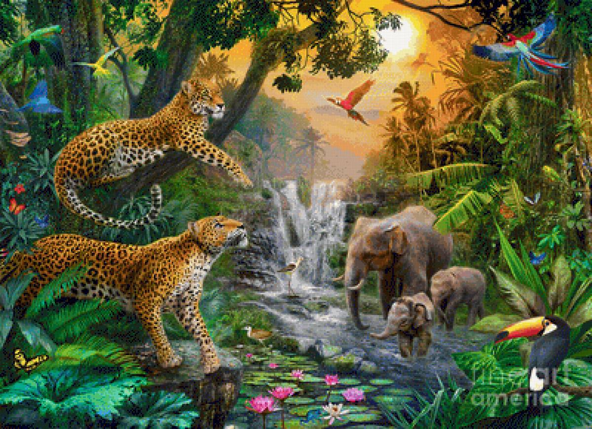 леопарды - предпросмотр