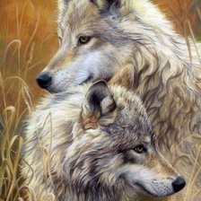 Схема вышивки «Волки»